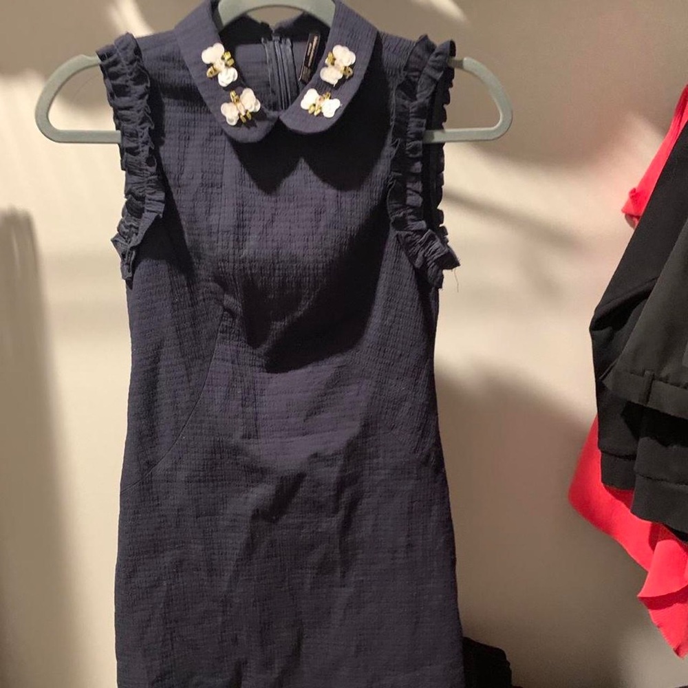 Zara french inspired dress